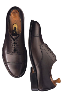 セミブローグダービー